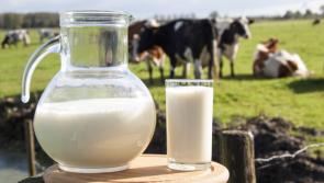 Warning: Tipperary shelves could be left with no milk unless suppliers get better return