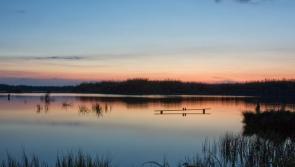 Blueprint in pipeline to develop Laois Offaly amenity as a 'must visit' location