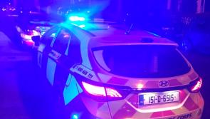 Covid partygoers broke lockdown in Tipperary and fled into fields when gardaí arrived