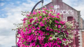Annual county-wide Kilkenny cleanup day planned