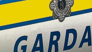 Young man seriously injured after reported daylight machete attack in Dublin