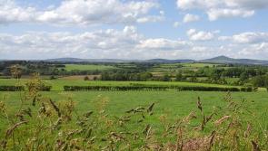 Louth land prices third most expensive in Ireland