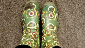 Ten things that will help townies blend in at the National Ploughing Championships