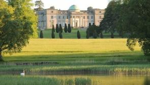 Disturbance of bats at Laois heritage site raised in Dail