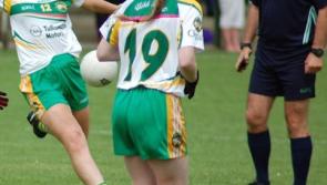 Offaly's championship ambitions come to an end after heavy Wexford defeat