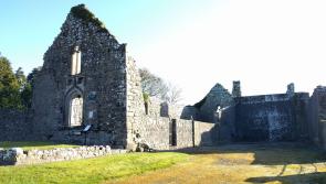 Young woman to be remembered at guided walking tour in Tipperary next month