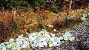 'It is cheaper to buy nappies than it is to dispose of them' - Cllr 