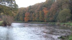 Pressure put on council after summer of poor water quality in Kilkenny