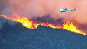 Laois residents urged to remain alert as forest fire warning extended