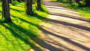 Popular Kilkenny walkway to close to the public