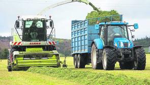 Exciting and  extremely dangerous spell for farmers warns Minister who represents Laois voters