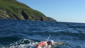 Inishowen sea swimming safety course wins top national award