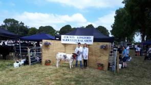 Funding of €24,255 allocated to help cover costs of Longford shows