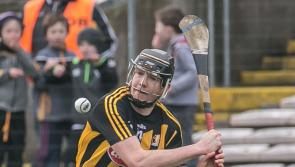 Former Kilkenny forward Walter Walsh fears overly defensive hurling in the future 