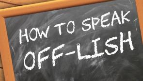 A Beginner's Guide to speaking Offlish - the native dialect of people from Offaly
