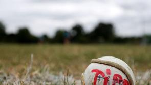 North Tipperary GAA Notes: New officers elected after divisional AGM