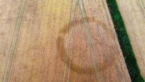 Kilkenny men discover prehistoric monument in Kilkenny field using drone