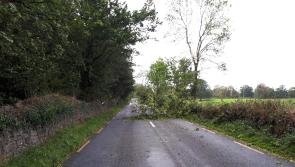 ALERT: Beware of fallen debris on Kilkenny roads this morning