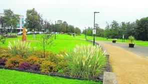 Carrick-on-Shannon is Leitrim's Tidiest Town