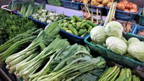 Louth Urban Food Sanctuary host ‘Learning from Allotments’ event