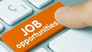 Virtual jobs fair planned for Leitrim, Longford and Cavan
