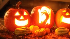 Tipperary Pumpkin Festival begins this weekend with two main events