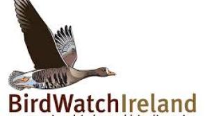 Barn Owl talk to be held in Kilkenny as part of Heritage Week