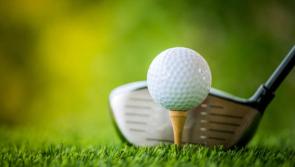 “Fore!” Golf balls aimed at Midlands house where 99 roof tiles and Mercedes damaged