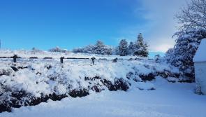 LET IT SNOW! Tipp social media shows the level of snowfall this morning all over the county