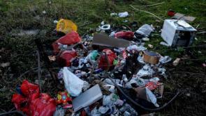 The plague of rural litter in Kilkenny needs to be addressed urgently


