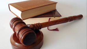 Woman tried to flush drugs during search in Laois