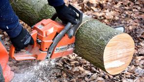 Coillte called on to help Laois people heat homes with trees felled by storms