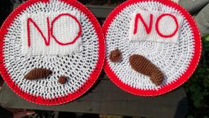 Calls for 'additional powers' to tackle Kilkenny dog poo epidemic 