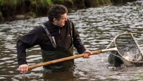 Kilkenny company to feature at Ireland’s largest floral, food and family festival, Bord Bia Bloom 