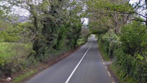 People in Kilkenny shocked after encountering unexpected animal