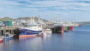 Inishowen TD tells Inishowen Minister that Irish fishing fleet require urgent fuel supports