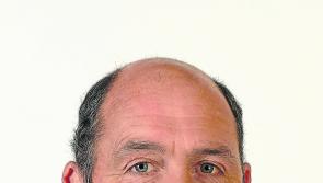 Trees are “an absolute danger to the public” warns councillor