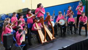 Laois called on to support the huge Leinster Fleadh in Portlaoise 