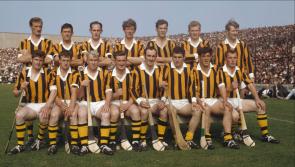 Young farmers in Kilkenny now too busy to commit to hurling squads 