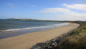 Public warned not to swim at Louth beach