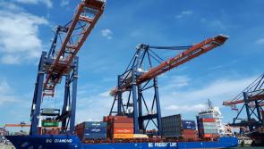 New CEO ready to take the reins at Port of Waterford in Belview, South Kilkenny