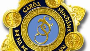 No jail for man who had &euro;63,000 in crime cash, with Kilkenny company left out of pocket