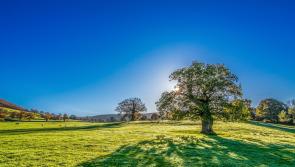 What has the weather in store for Leitrim and surrounding counties on Tuesday, August 9?