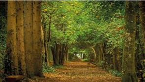 ALERT: Jenkinstown Park in Kilkenny closed to the public 