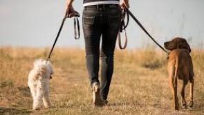 Only one person prosecuted in two years on account of their dog fouling says Cllr Michael McClafferty 