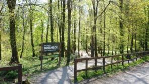 Six projects in Donegal benefit from latest Town and Village Renewal fund