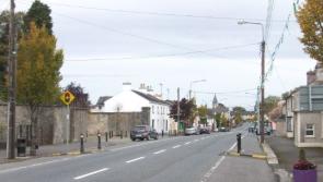 Longford village to host World Wetlands Day this Saturday