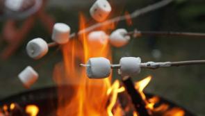 Lots of Hallowe'en-flavoured fun events at Savour Kilkenny