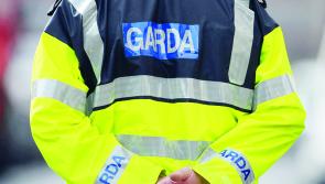 Two men to appear in court following an early morning shooting at a house in Limerick