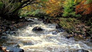 Offaly project one of 24 supported by Inland Fisheries Ireland 